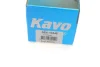 Амортизатор (задний) KAVO SSA-10348 (фото 6)