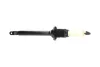 PARTS FORD Амортизатор газ.задн. Fiesta 95- KAVO SSA10379 (фото 2)