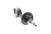 Амортизатор (передній) Mitsubishi Colt 04-12 (L) PARTS KAVO SSA-5541 (фото 5)