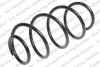 Пружина підвіски передня HYUNDAI/KIA Kilen 14875 (фото 1)
