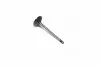Клапан впускной IN FIAT/OPEL 194A1/939A5/939A6/Z22SE/Z22YH 35.2X6X102.2 (пр-во KS) KOLBENSCHMIDT 291109 (фото 1)