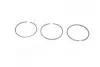 Кільця поршневі, комплект на 1 циліндр DAF/FORD/PEUGEOT/SSANGYONG 2,3D/2,5D KOLBENSCHMIDT 800004110000 (фото 1)