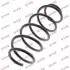 A_Пружина K-FLEX FORD Fusion "F "1,2-1,6 "02-12 - замінено на RA3560 KYB RA1818 (фото 2)