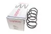 Пружина подв. передн. OPEL,VAUXHAL (пр-во Lesjofors) ASTRA 1,7 CDTI / 2,0 T 3/04-12/09 /CLASSIC 1,7 CDTI 09- LESJOFORS 4063479 (фото 1)