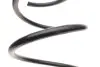 Пружина подв. передн. RENAULT (пр-во Lesjofors) MEGANE 1,9 DCI / 2,0 16V / 1,6 Coupe Cab 02- LESJOFORS 4072954 (фото 2)