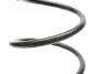 Пружина (задня) Citroen C3 1.1i/1.4-1.6 16V/1.4-1.6HDi 02- (хэтчбэк) (без здвиг.панелі даху) LESJOFORS 4215602 (фото 2)