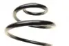 Пружина (задня) Opel Corsa C 1.0-1.4/1.3CDTI/1.7CDTI/DI/DTI 00-09 (накл.зад.ч) (з пост.d) LESJOFORS 4263446 (фото 2)