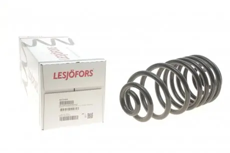 Пружина задня LESJOFORS 4272954
