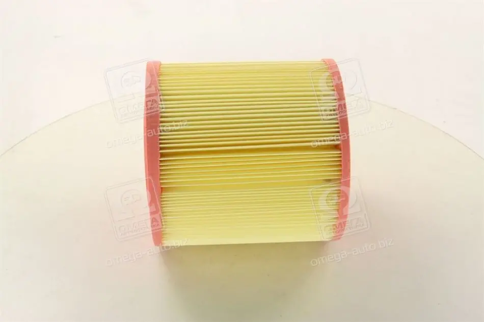 Фильтр воздушный MAZDA 626 2.0D (пр-во M-Filter) M-FILTER A269 (фото 1)