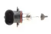 Лампа розжарювання HB4 12V 51W P22d (вир-во Magneti Marelli) MAGNETI MARELLI 002577300000 (фото 4)