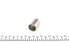 Хомут тонкостінний стальний (G10 Ø 20x15.6) MAGNETI MARELLI 007936210080 (фото 2)