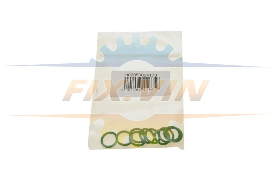 Набір ущільнювачів O-ring №8 (універсальний) (10 шт.) MAGNETI MARELLI 007950024170 (фото 1)