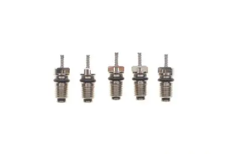 Набір зворотних клапанів MAGNETI MARELLI 007950024440