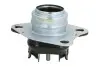Подушка двигуна RENAULT FLUENCE/ MEGANE/ SCENIC (вир-во Magneti Marelli) MAGNETI MARELLI 030607010725 (фото 1)