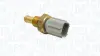 Датчик температури охолоджуючої рідини MAGNETI MARELLI 171916011160 (фото 1)