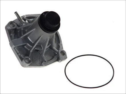 Насос MAGNETI MARELLI 352316170018