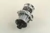Водяной насос (пр-во Magneti Marelli кор.код. WPQ0038) MAGNETI MARELLI 352316170038 (фото 4)