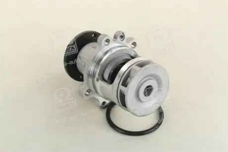 Водяной насос (пр-во Magneti Marelli кор.код. WPQ0038) MAGNETI MARELLI 352316170038