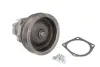 Насос охолоджуючої рідини MAGNETI MARELLI 352316170287 (фото 1)
