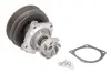 Насос охолоджуючої рідини MAGNETI MARELLI 352316170287 (фото 2)
