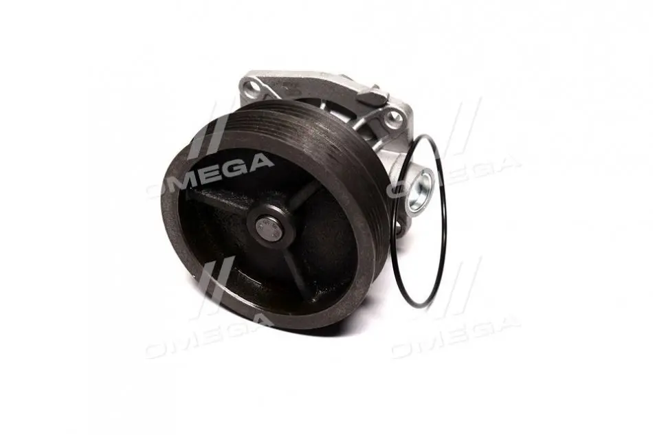 Водяний насос (Вир-во Magneti Marelli кор.код. WPQ0303) MAGNETI MARELLI 352316170303 (фото 1)