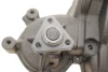 Помпа води Fiat Duna 1.7DS 87-91/Fiorino 1.7D 88-99 (WPQ0312) MAGNETI MARELLI 352316170312 (фото 6)