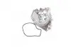 Водяний насос (Вир-во Magneti Marelli кор.код. WPQ0460) MAGNETI MARELLI 352316170460 (фото 4)
