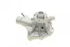 Водяний насос (Вир-во Magneti Marelli кор.код. WPQ0684) MAGNETI MARELLI 352316170684 (фото 7)