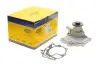 Водяний насос (Вир-во Magneti Marelli кор.код. WPQ0793) MAGNETI MARELLI 352316170793 (фото 1)