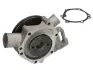 Насос охолоджуючої рідини MAGNETI MARELLI 352316170887 (фото 1)
