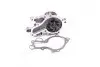 Водяний насос (Вир-во Magneti Marelli кор.код. WPQ1005) MAGNETI MARELLI 352316171005 (фото 1)