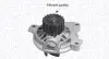 Водяний насос (Вир-во Magneti Marelli кор.код. WPQ1172) MAGNETI MARELLI 352316171172 (фото 1)