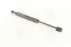 Амортизатор багажника AUDI (вир-во Magneti Marelli кор.код. GS0103) MAGNETI MARELLI 430719010300 (фото 1)