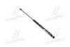 Амортизатор багажника VOLKSWAGEN Bora (вир-во Magneti Marelli кор.код. GS0131) MAGNETI MARELLI 430719013100 (фото 1)