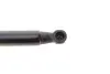 Амортизатор кришки багажника MAGNETI MARELLI 430719018900 (фото 5)