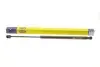 Амортизатор кришки багажника MAGNETI MARELLI 430719047600 (фото 3)