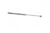 Амортизатор капота MERCEDES-BENZ (вир-во Magneti Marelli кор.код. GS0569) MAGNETI MARELLI 430719056900 (фото 1)