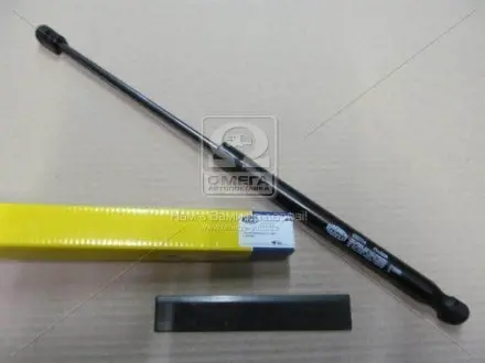 Амортизатор капота HYUNDAI Santa Fe II (кор.код. GS0714) Hyundai SANTA FE II позашляховик (CM) (2006 - 2012)
Santa Fe позашляховик (CM) MAGNETI MARELLI 430719071400
