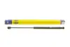 Газова пружина, кришка багажника MAGNETI MARELLI 430719073200 (фото 1)