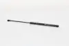 Амортизатор багажника MAGNETI MARELLI GS0183 (фото 1)