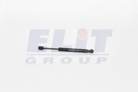 Запчасть MAGNETI MARELLI GS1021 (фото 1)