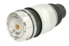 Пневмоподушка передн Лів AUDI Q7 PORSCHE CAYENNE VW TOUAREG 2.5D-6.0D 09.02-08.15 MAGNUM TECHNOLOGY MZA013MT (фото 1)