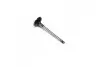 Клапан OPEL IN 1,8/2,5 16V/24V (вир-во Mahle) MAHLE / KNECHT 011 VE 30457 000 (фото 1)