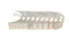 Вкладиші корінні Mahle VW MAHLE / KNECHT 029 HS 18067 000 (фото 3)