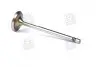 Клапан впускний IN VAG 1,2/1,6 16V 29.5x6x100.9 (вир-во Mahle) MAHLE / KNECHT 029 VE 30528 000 (фото 1)