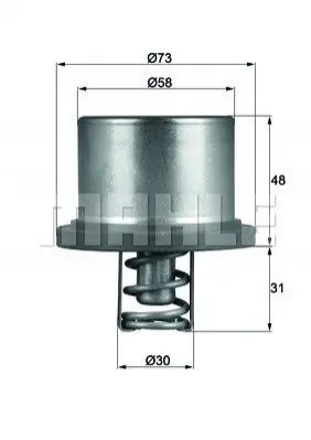 Термостат MAHLE MAHLE / KNECHT THD 2 89 (фото 1)