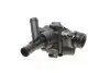 Термостат MAHLE / KNECHT TM 79 97 (фото 2)