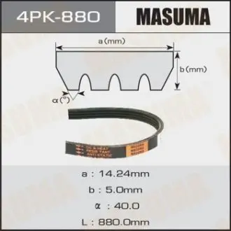 Ремінь поліклінової (4PK-880) MASUMA 4PK880
