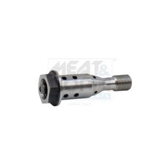 MEATDORIA BMW центр.клапан регулювання фаз газорозподілу 1 (F20) 125 i 12-17 MEAT&DORIA 915014