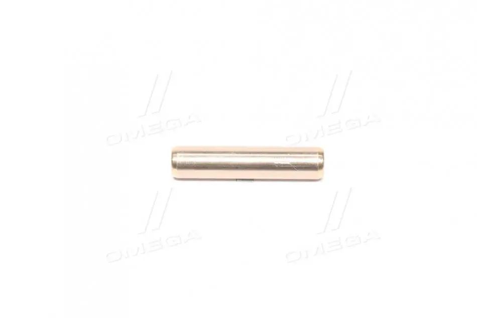 Направляюча клапана IN BMW/PSA/MINI EP3/EP3C/EP6DTS/EP6CDTX/EP6CDT 41X5.01X9.05 (вир-во) Metelli 01-2989 (фото 1)